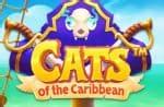 Cats Of The Caribbean 888 Casino